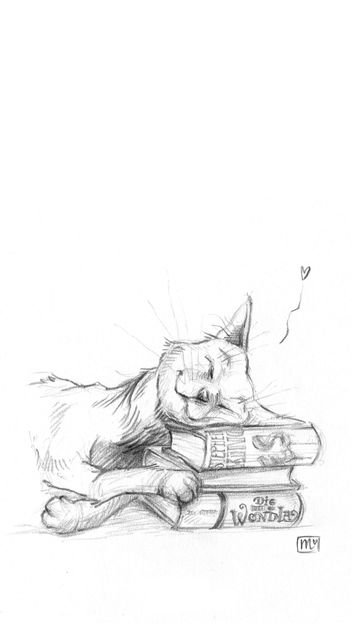 Handy Hintergrund, Wallpaper, cat, book