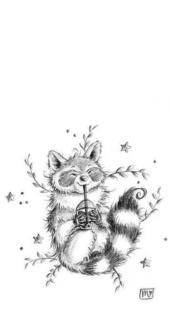 Handy Hintergrund, Wallpaper, Racoon, Waschbär