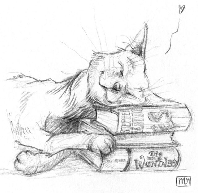 Zeichnung, Bleistift, Katze, Cat, Weltliteratur, Es, Steven Kind, Wondla, Tony Diterlizzi