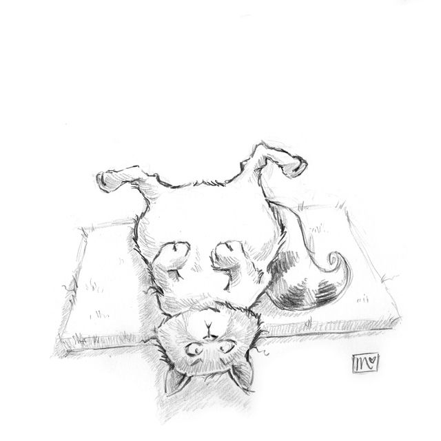 Katze liegt auf Fußmatte, Zeichnung, doodle, sketchbook